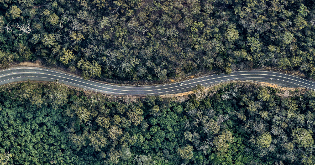 Bird's eye view of winding forest road